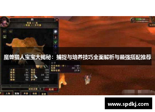 魔兽猎人宝宝大揭秘：捕捉与培养技巧全面解析与最强搭配推荐